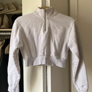 Aritzia TNA cozy fleece cropped sweater in grey